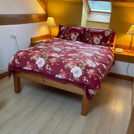 Lind End * ברוטון אין פרנס